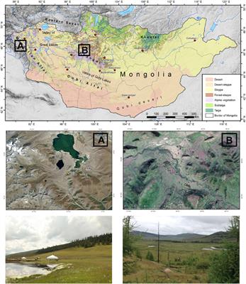 The reconstruction of Holocene northwestern Mongolian fire history based on high-resolution multi-site macro-charcoal analyses